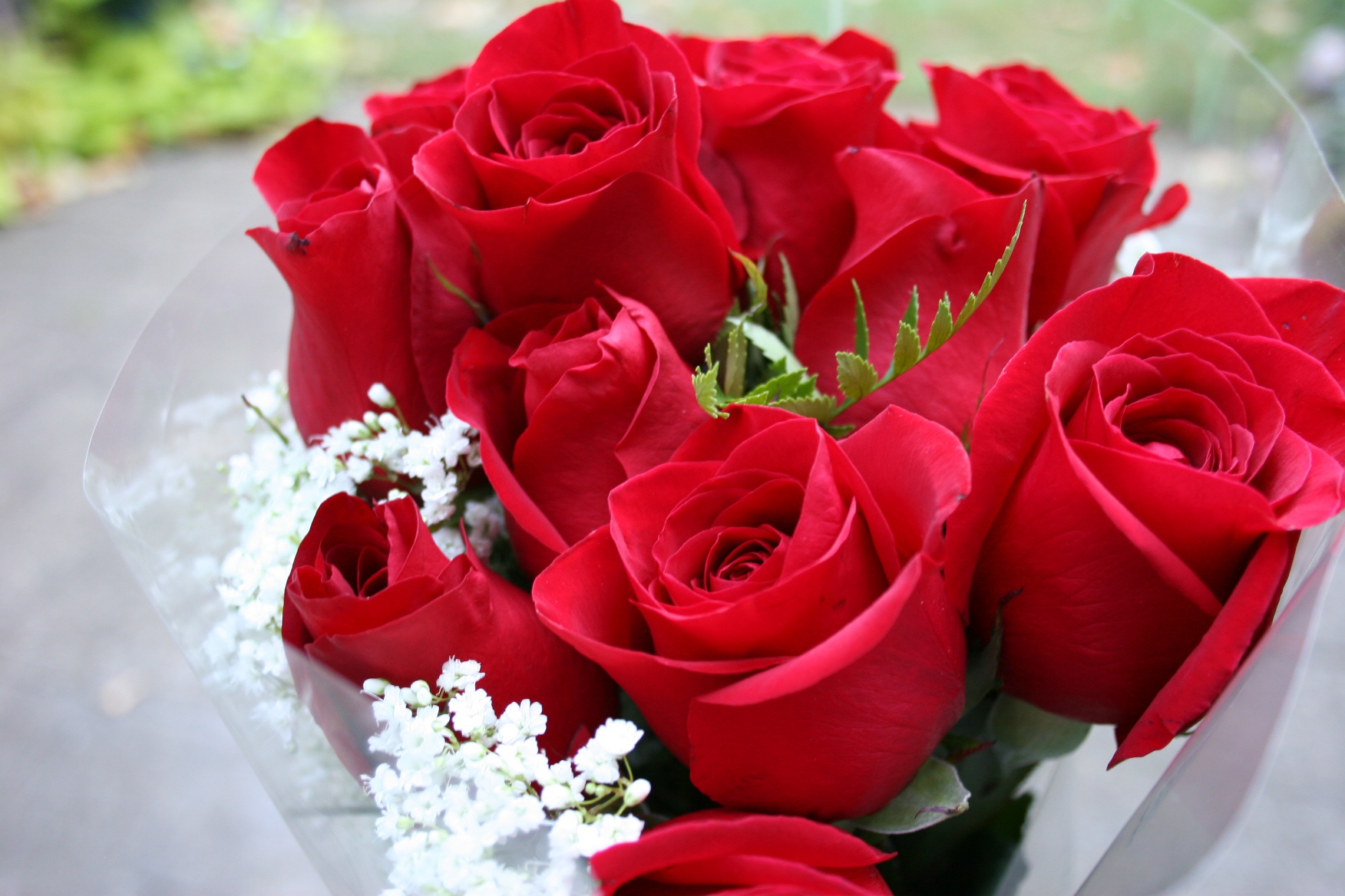BỘ SƯU TẬP HOA HỒNG TUYỆT ĐẸP * Wpid-holidays___international_womens_day_beautiful_bouquet_of_red_roses_on_march_8_058028_